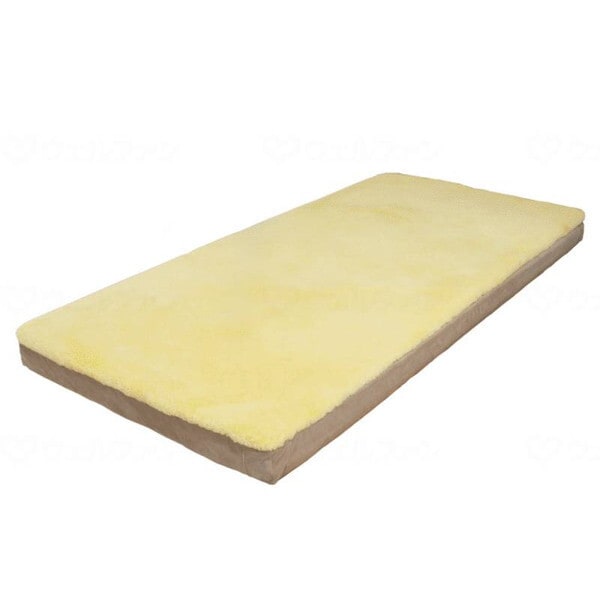 ウェルファン ナーシングラッグマットレス メーカー直送 109,765円