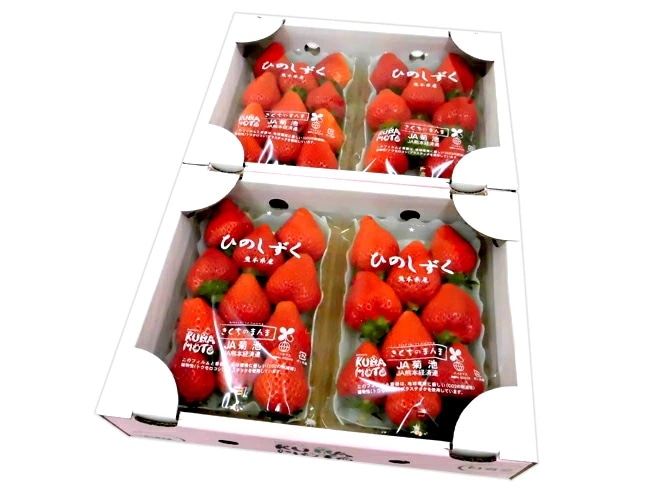 熊本県 =ひのしずくいちご= 秀品 2パック入り（1パック 7-13粒 約300g）x2箱 予約 1月以降