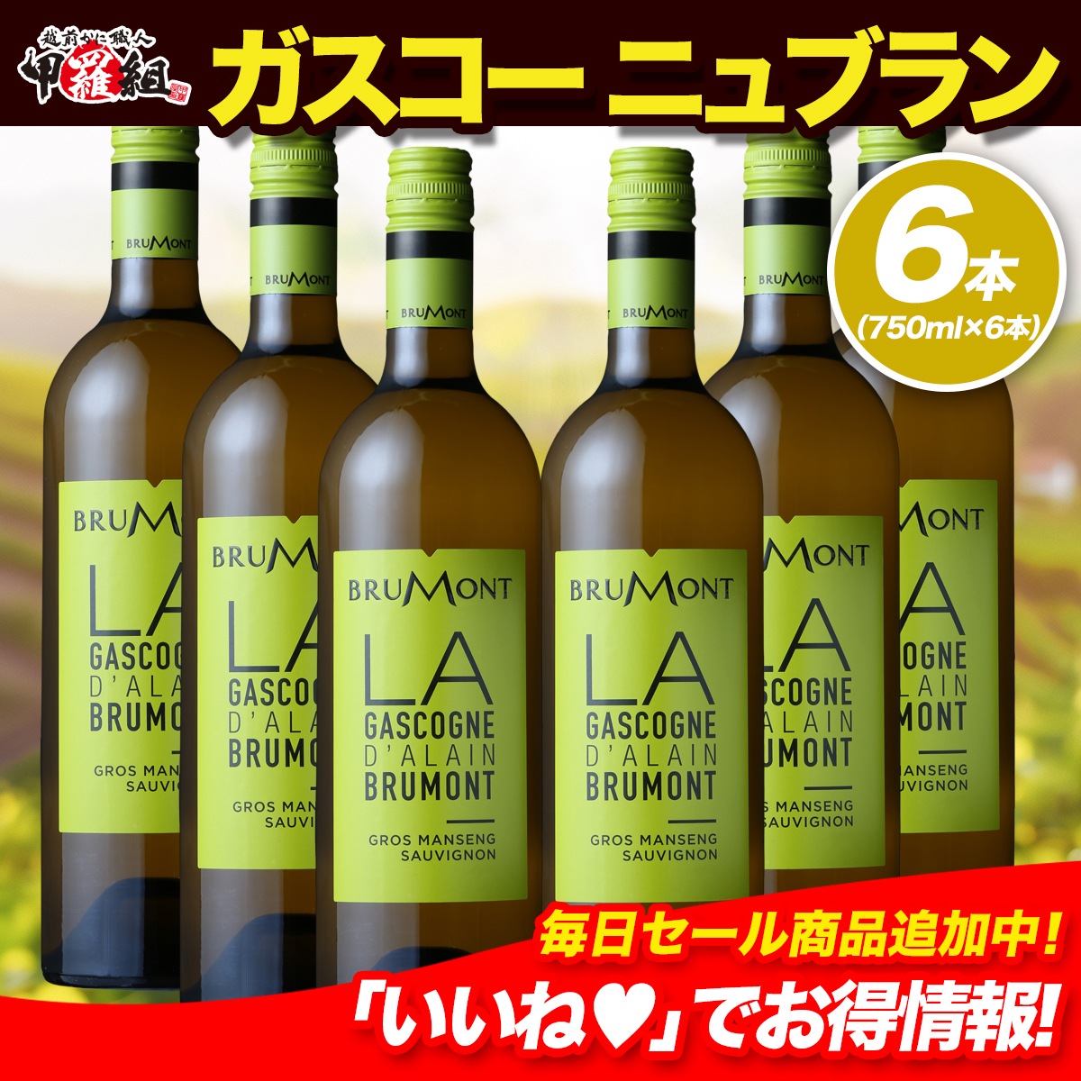 ドメーヌ・アラン・ブリュモン ガスコーニュ ブラン×6本セット