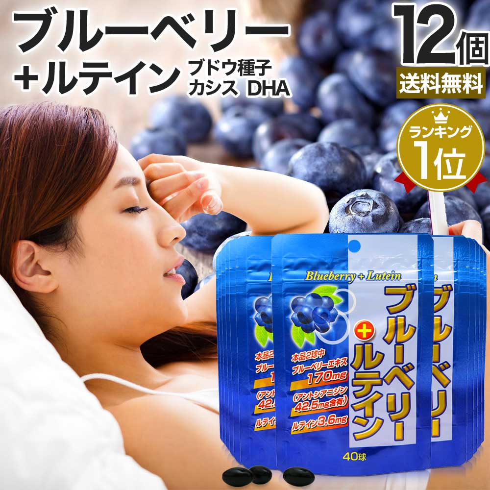 ブルーベリー＋ルテイン 40球*12個 約240-480日分 ブルーベリーサプリメント ブルーベリーサプリ サプリメント サプリ
