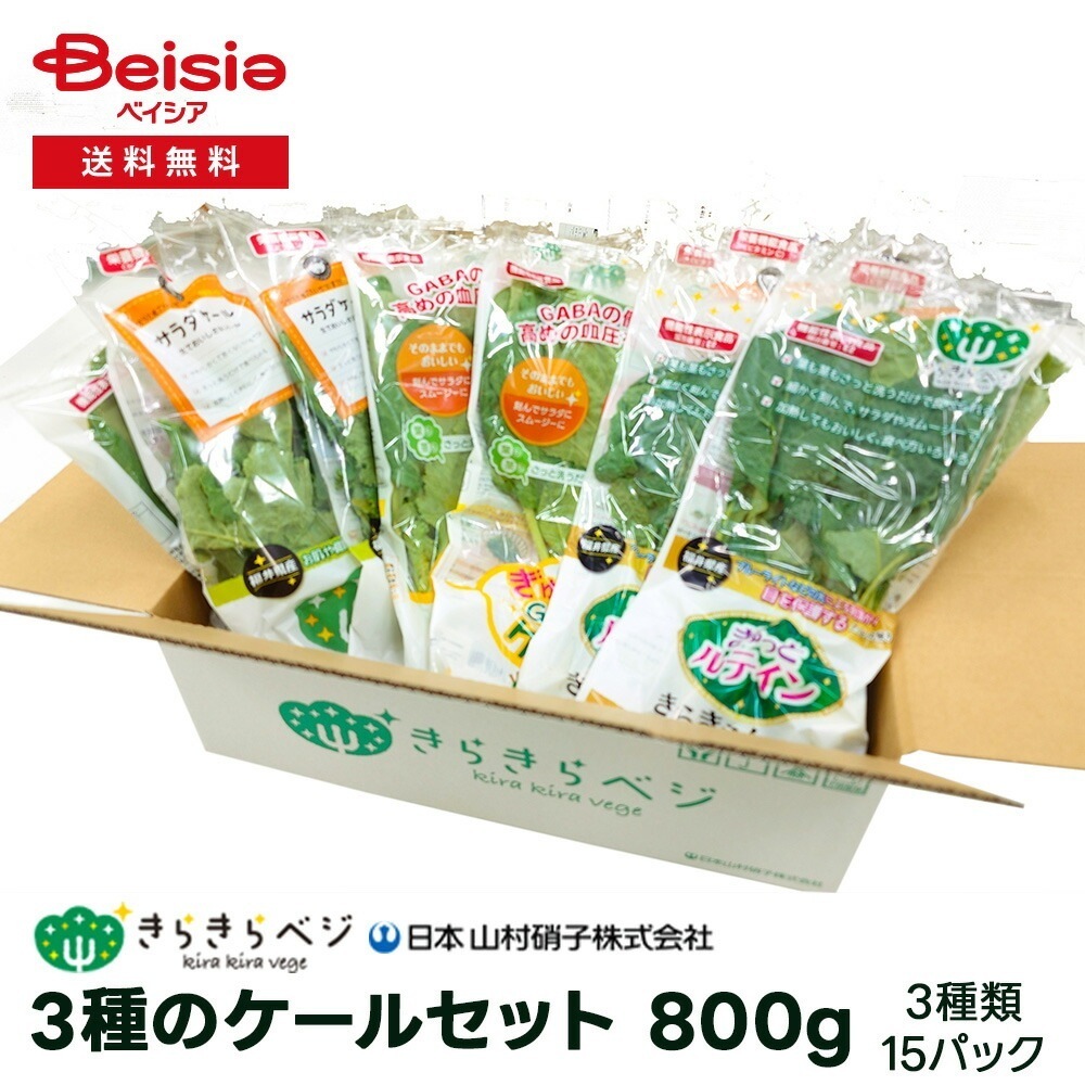 日本山村硝子 3種のケールセット葉物野菜15パック
