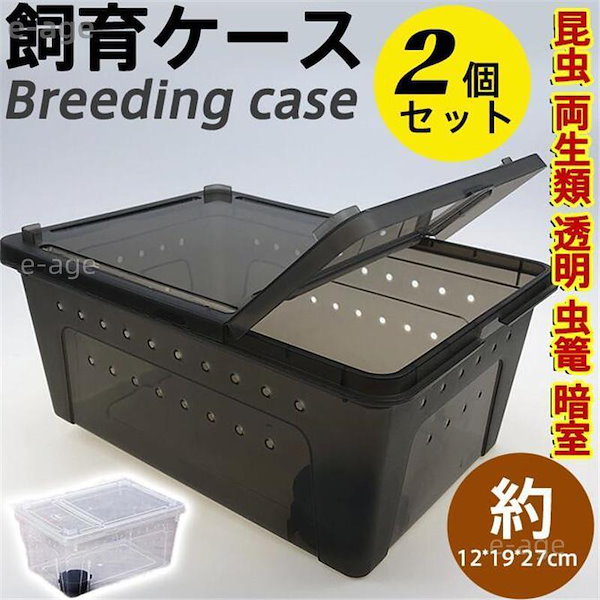 アリ飼育ケース 石膏巣 アリの巣観察 （蟻の巣の作り方を解説