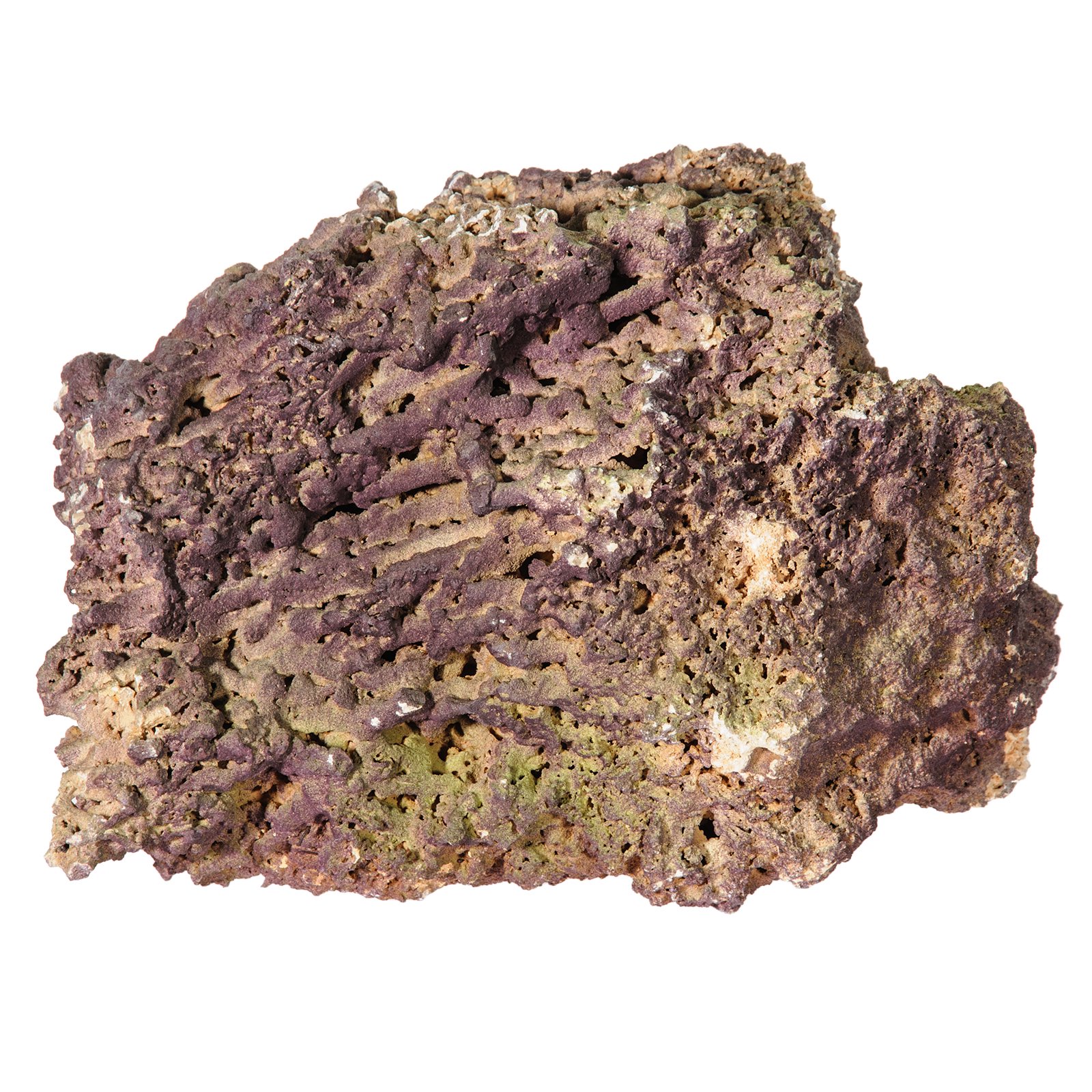 ジュラシックリーフロック　ライブロック　ＬＬ（２．５ｋｇー）　１個　形状おまかせ　ＣＲＣ10―35―90―30―00