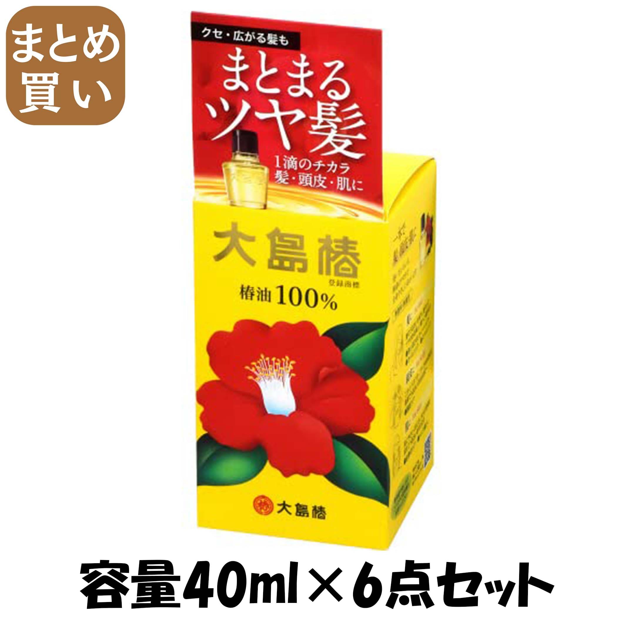【まとめ買い】大島椿４０ｍｌ 容量40ML×6点セット 大島椿 スタイリング
