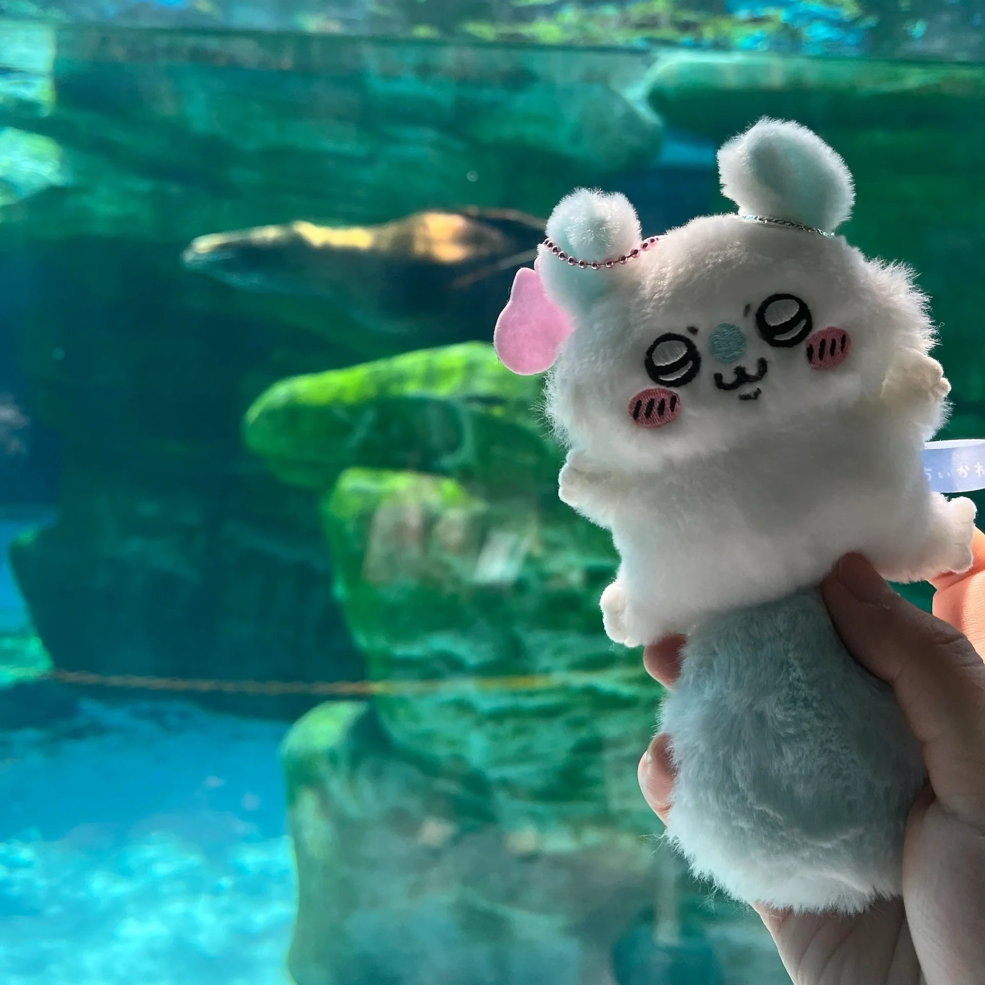 うさちドール ぬいぐるみ 自虐的クマペンダントドール