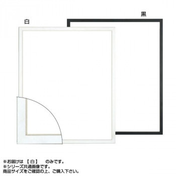 大額 5382 デッサン額 半切 白