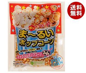 サンコク まるいポップコーン 100g＊10袋入