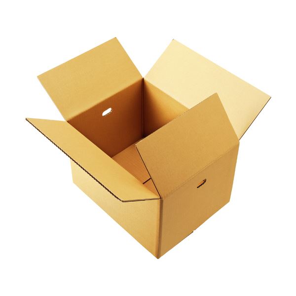 （まとめ）TANOSEE 保存保管用ダンボール 430335285mm 1パック（10枚） 3セット