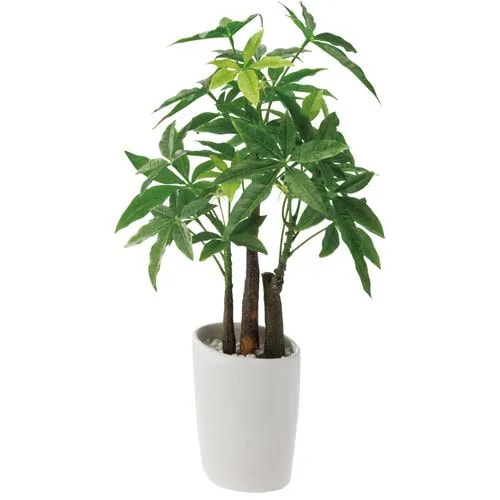 ポピー GLA-1229 ロングパキラオーバルポット 全長50cm・幅30cm GLA1229