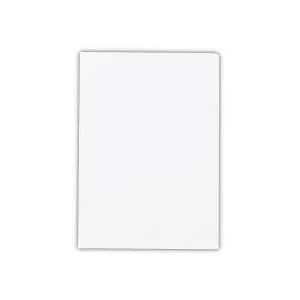 テージー カラークリアフォルダー A4ホワイト CC-141A-06 1セット(500枚:10枚×50パック)