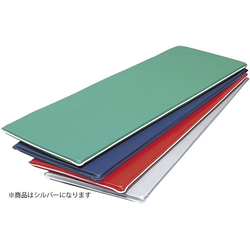 (代引き・個人宅・北海道・沖縄への配送不可)三和体育 パーソナルストレッチマットES SLV10E ウエルネスマット (s9224)