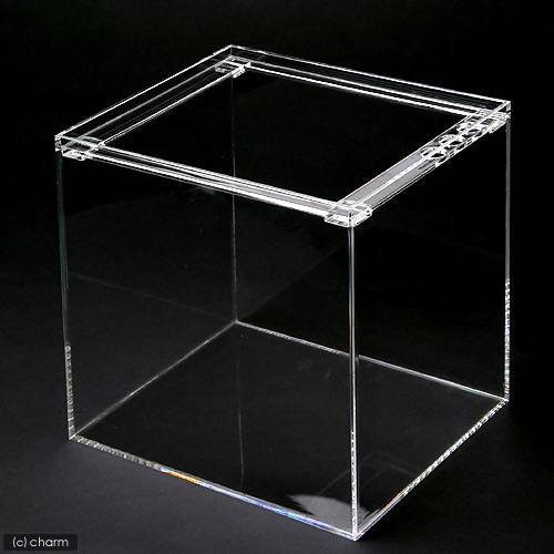 水槽　アクリル水槽　ラクシス　Ｎｏ．１３　（３００X２５０X３００ｍｍ）　３０ｃｍ水槽　ＣＲＣ10―11―04―20―00