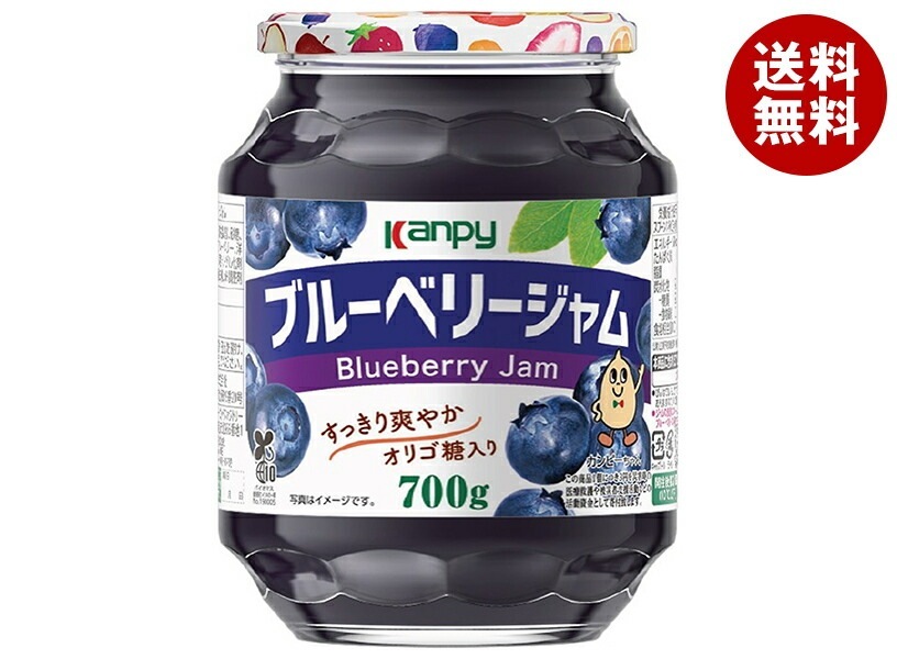 カンピー ブルーベリージャム 700g瓶×6個入×(2ケース)