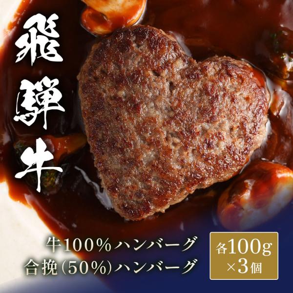 飛騨牛 牛100％ハンバーグ＋合挽きハンバーグ（50％） 食べ比べ x 各3個 / ハンバーグ ギフト