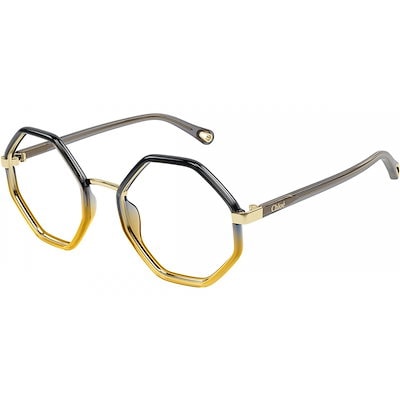 Homalomena sp. 北Sanggau Brown TB便 ホマロメナ 【公式通販】