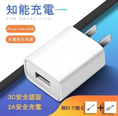 団体購入8件 USB電源 IOS/Android対応 Type-Cケーブル＆OTGコンバート線 贈り物セット ACアダプター USB充電器 iPhone16 2A 高速充電 PSE認証 ゲーム機/スマ