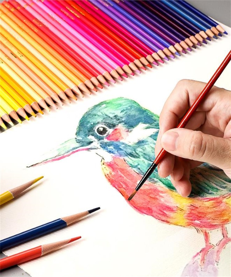 早い者勝ち セット 美術絵画用 カラー鉛 複数の色鉛筆 油性ブラシ カラーペン カラーペン ブラシ 複数の色 色をつけやすい 転倒に弱い