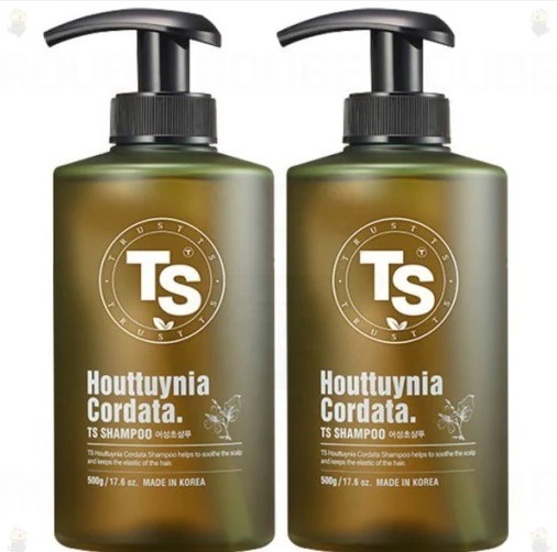 TS ドクダミシャンプー500g x 2個&プレミアムシャンプー100g x 2個