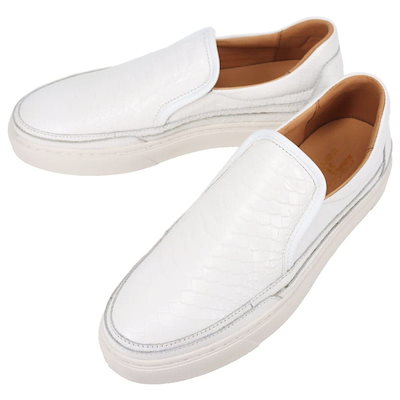 ユッカ アロイフォリア バリエガータ 斑入り 【公式通販】