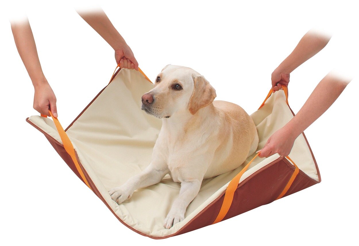 zuttone ずっとね 老犬介護用 運搬補助マット 中 大型犬用 運搬マット 犬 シニア期介護期