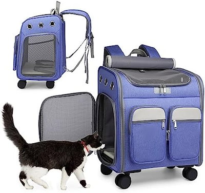 ラミレスゾウカブト WF3 【公式通販】