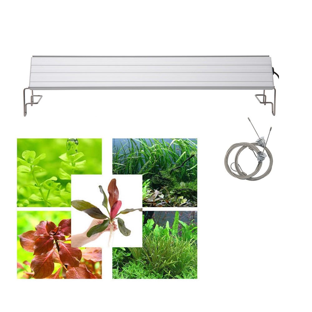 （水草）おまかせ水中葉レイアウトセット　１０種（無農薬）＋アクロＬＥＤ　ＧＲＯＷ４５０　４５ｃｍ水槽用　本州四国限定　ＣＲＣ10―15―10―30―40