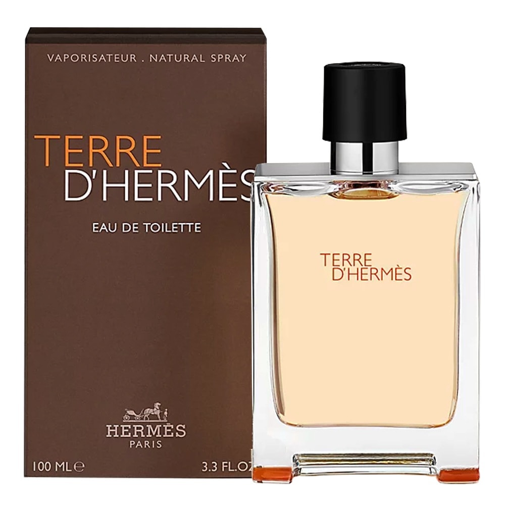 エルメス香水 テルデルメス オドトワレット EDT 100ml 17,324円