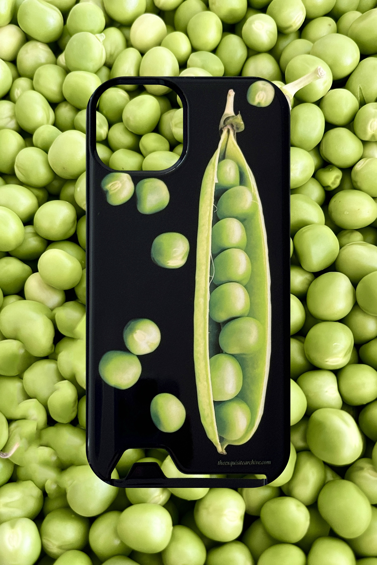 the Exquisite Archive PEAS CASE