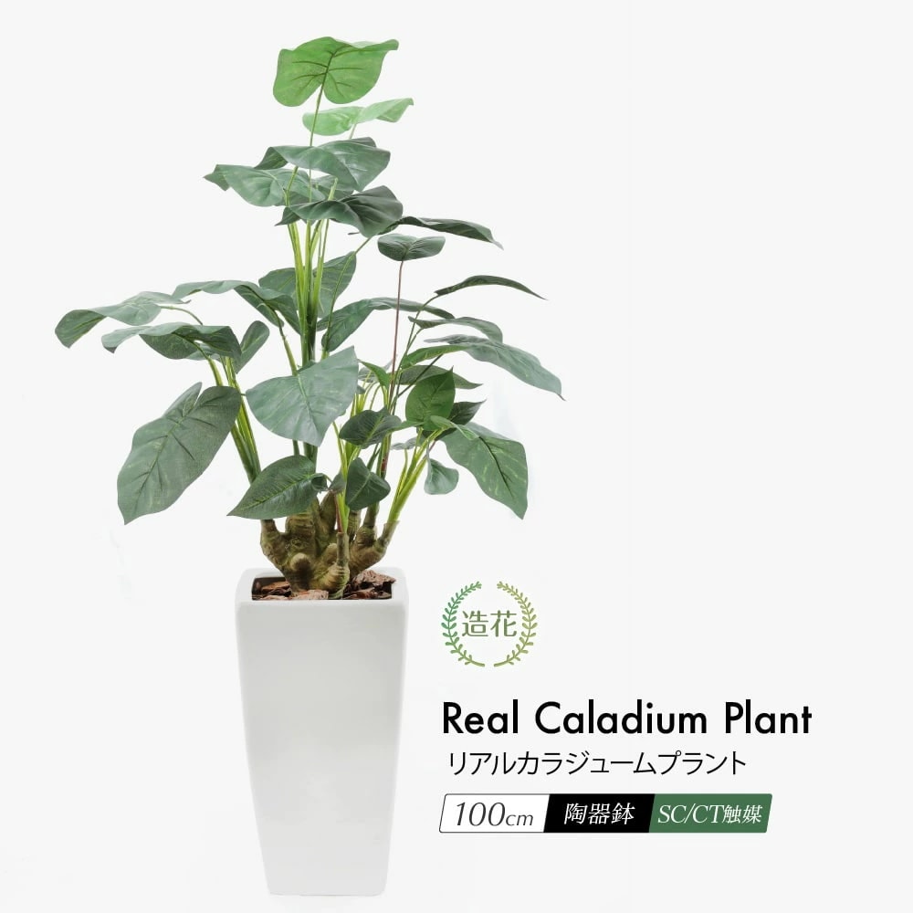 フェイクグリーン リアルカラジュームプラント 100cm 鉢植 陶器鉢 CT触媒