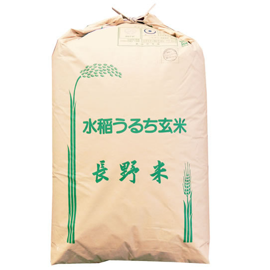 令和7年産 長野県伊那産 五百川 1等 玄米30kgx1袋 (白米/無洗米加工/保存包装 選択可)