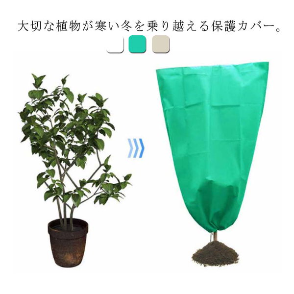 植物 オファー 防寒 カバー