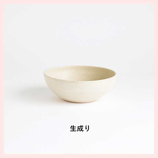 （3個セット）TEIBAN WARE ボウル（L）／生成り 日本製 信楽焼　陶器製　s18-wa09-A7