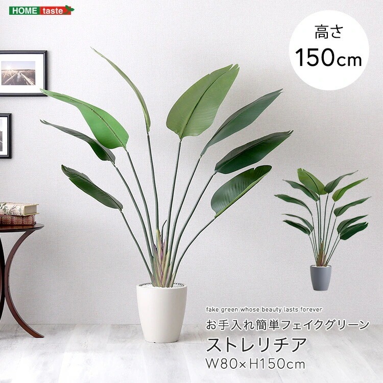 お手入れ簡単 フェイクグリーン ストレリチア Mサイズ 150cm 鉢付 人工観葉植物 鉢カバー不要 造花 リアルさを追求 新生活 引っ越し 家具 インテリア 模様替え