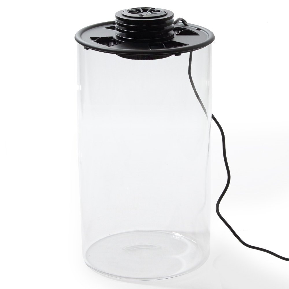 テラリウムボトル　ＵＦＯ　ホール　テラリウム　パルダリウム　苔　ＣＲＣ10―85―05―10―00