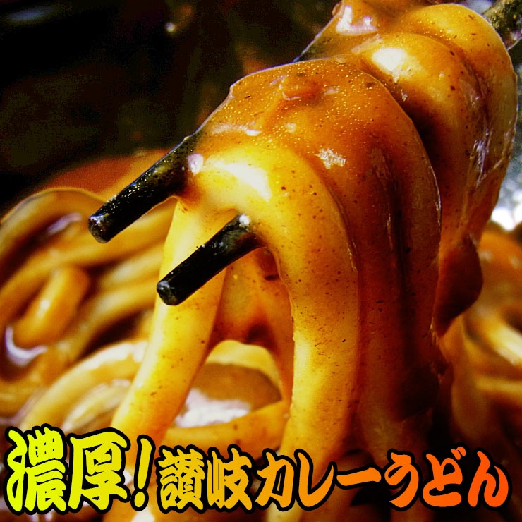 讃岐ビーフカレーうどん！ビーフにマッシュ8人前セット