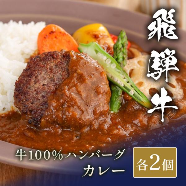 飛騨牛 牛100％ハンバーグ2個＋カレー2袋 / ハンバーグ ギフト