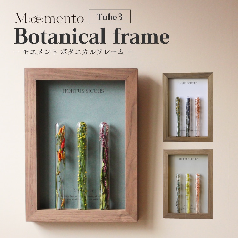 お花付 すぐ飾れる フラワーフレーム Moemento ボタニカルフレーム Tube3 試験管 ドライフラワー 額縁 フレーム A4 壁掛け 置き型 おしゃれ 可愛い インテリア 木製 ウォールナット