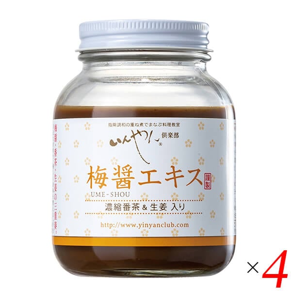 梅醤エキス 濃縮番茶＆生姜入り 250g 4個セット いんやん倶楽部