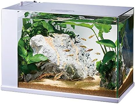 ジェックス GEX ガラス AQUARIUM ラクテリア 水換え簡単水槽 サカナ用 フィルター・LED付き W34×D17.5×H24cmホワイト