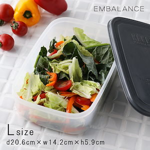 EMBALANCE（エンバランス） レクタングルコンテナ L 1270ml 保存容器 食品保存 生鮮食品 保存 鮮度キープ 鮮度長持ち 栄養 エコ 繰り返し 再利用 冷凍 野菜 肉 魚 弁当箱