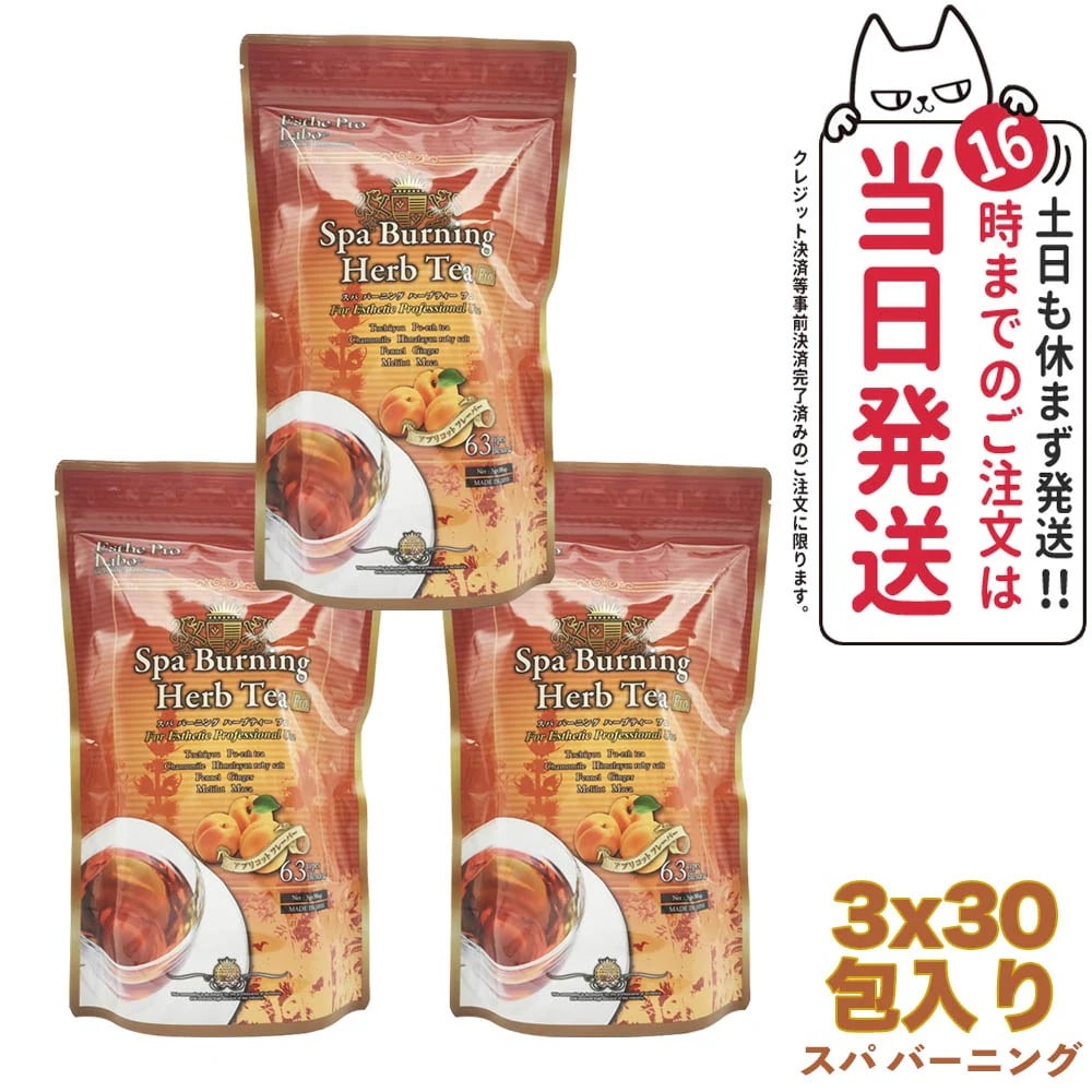 【3袋セット】エステプロラボ スパ バーニング ハーブティー プロ 30包 Esthe Pro Labo ダイエット オーガニック