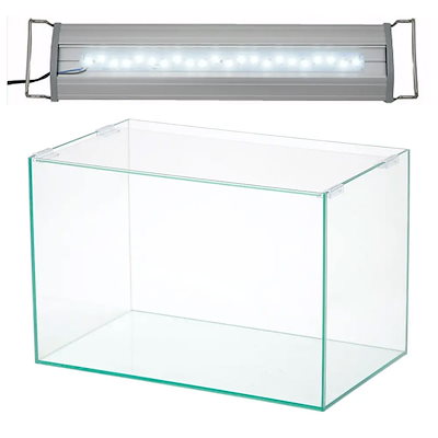 直筆サイン入り☆ベルナール・カトラン『赤いテーブルクロスの上の葡萄