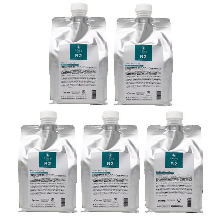 エルコス Eセラップ R2 1000mL ( 詰替用 リフィル ) 5個セット ヒアルロン酸 ダメージヘア トリートメント 美容室 サロン専売品 送料無料 正規品 正規代理店