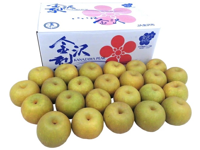 石川県 金沢産 =幸水梨= 秀品 20-28玉前後 約10kg 予約 8月末以降 8,428円