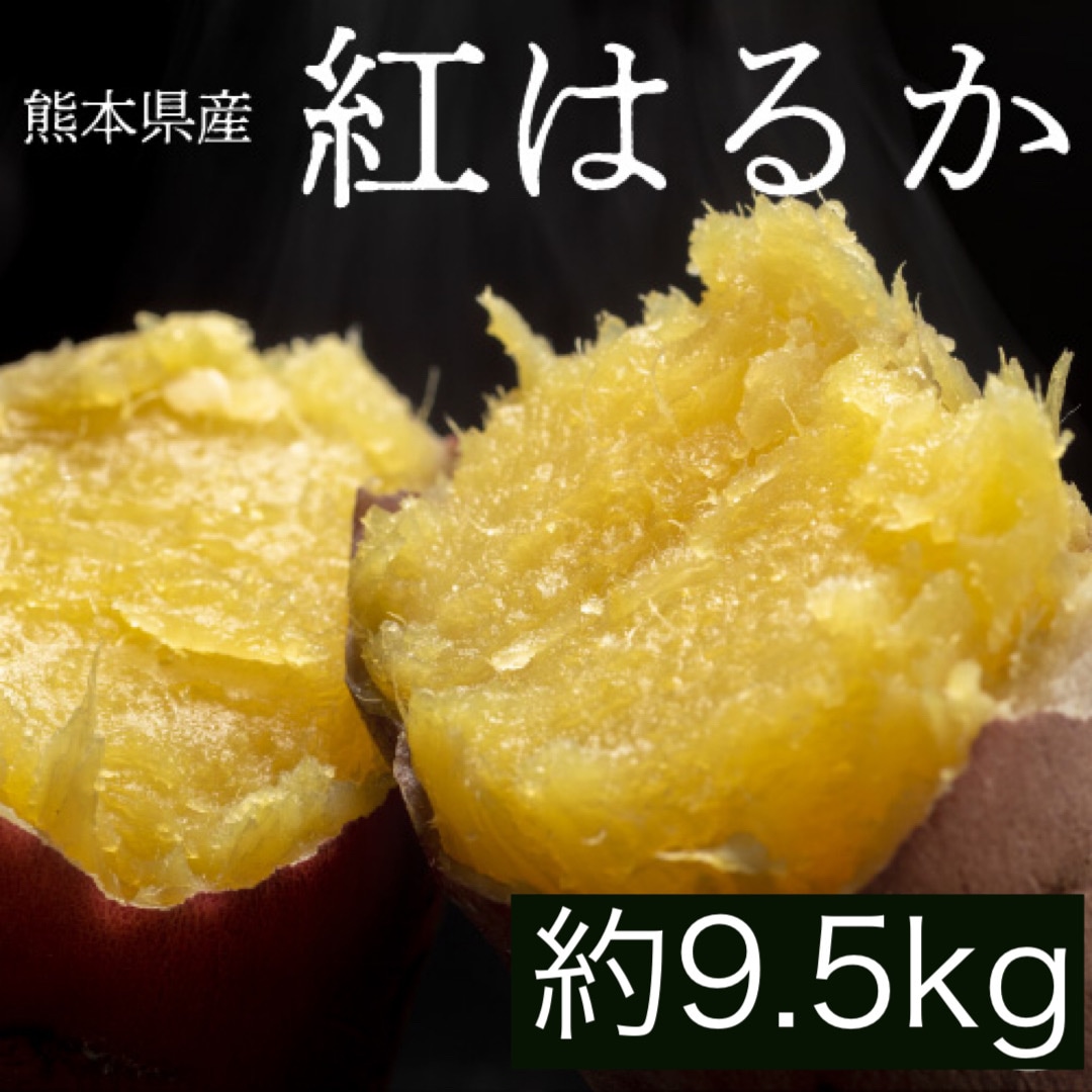 さつまいも 紅はるか 訳あり約 9.5kg 箱込み（内容量9kg＋補償分500g) 優品 訳あり 【002】 熊本県産 サツマイモ 紅蜜芋 焼き芋 芋 いも 通販 家庭用