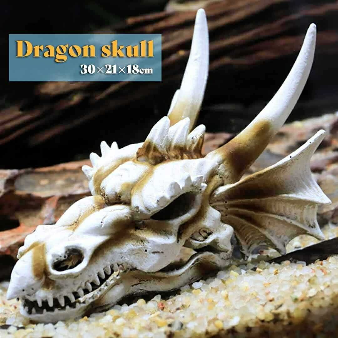 人気 インテリア 風水 ドラゴン 頭蓋骨 龍 置物 竜 玄関 風水グッズ 開運祈願 金運祈願 風水龍 アイテム 龍神 開運 金運 財産運 出世運 恋愛運 幸福 成功 プレゼント 贈