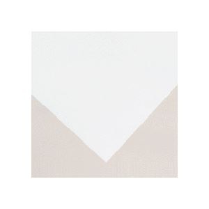 ソマール ジェトラス JP-D200SPETフィルム片面マット加工 A2カット 1冊(100枚) 23,416円