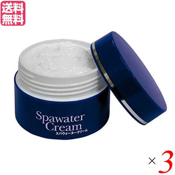 オールインワン クリーム コエンザイムQ10 スパウォータークリーム 80g 不動化学 3個セット