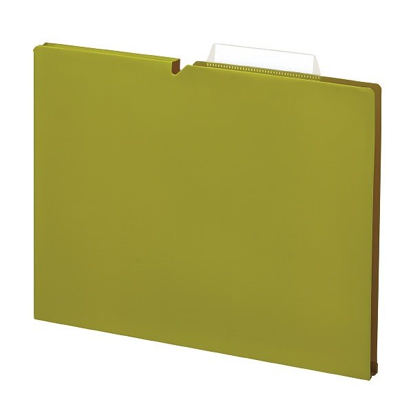 （まとめ買い）個別フォルダー NEOS A4 15mm 3辺とじ 10冊パック ライトオリーブ A4P-NEF15GX10 [x3]