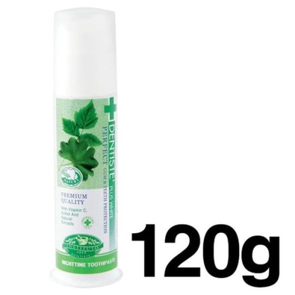 XBFH2K5K デンティステ ナイトタイム 歯磨き粉 ポンプ 120g 口腔衛生